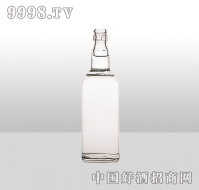 ZH-1954߰ײƿ500ml-еװϢ