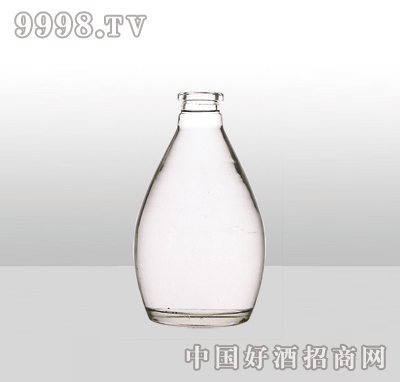 ZH-1128߰ײƿ500ml-еװϢ