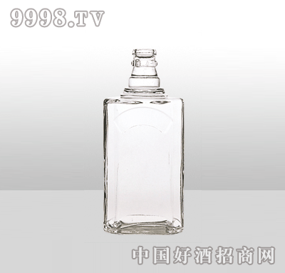 ZH-1106߰ײƿ500ml-еװϢ