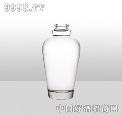 ZH-1105߰ײƿ500ml