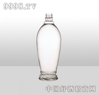 ZH-1103߰ײƿ500ml-еװϢ