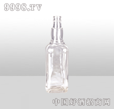 ZH-1054߰ײƿ500ml-еװϢ