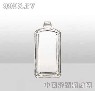 ZH-1035߰ײƿ500ml-еװϢ