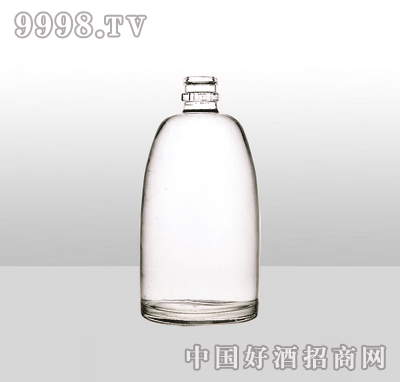 ZH-1010߰ײƿ500ml-еװϢ