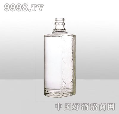 ZH-1005߰ײƿ500ml-еװϢ