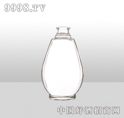 ZH-977߰ײƿ500ml-еװϢ