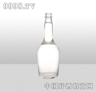 ZH-973߰ײƿ500ml-еװϢ