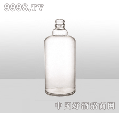 ZH-968߰ײƿ500ml-еװϢ