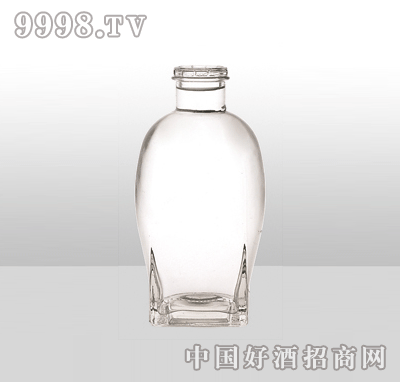 ZH-956߰ײƿ500ml-еװϢ