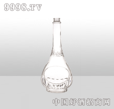 ZH-938߰ײƿ500ml-еװϢ