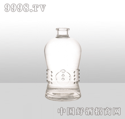 ZH-918߰ײƿ500ml-еװϢ