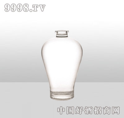 ZH-897߰ײƿ500ml-еװϢ