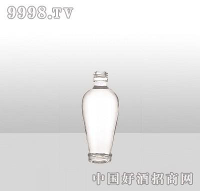 ZH-902-2߰ײƿ500ml-еװϢ