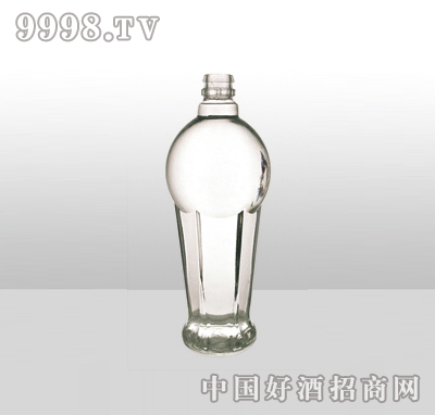 ZH-605߰ײƿ500ml-еװϢ