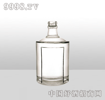 ZH-601߰ײƿ500ml-еװϢ