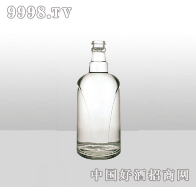 ZH-568-1߰ײƿ500ml-еװϢ