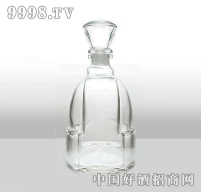 ZH-546߰ײƿ500ml-еװϢ