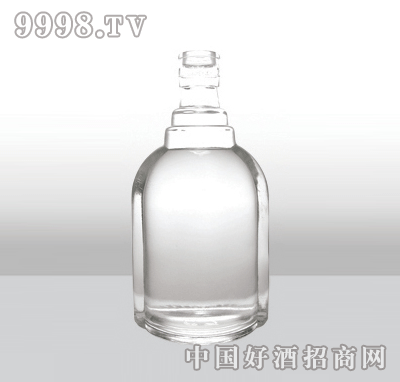 ZH-543߰ײƿ500ml-еװϢ