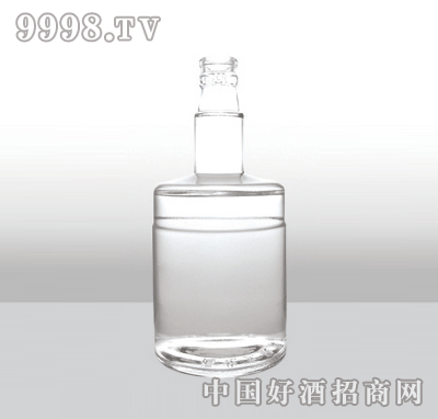 ZH-537߰ײƿ500ml-еװϢ