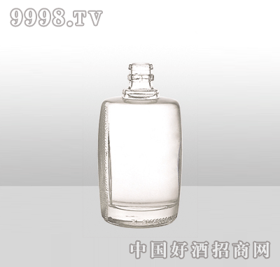 ZH-870߰ײƿ500ml-еװϢ