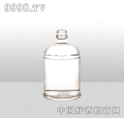 ZH-864߰ײƿ500ml-еװϢ