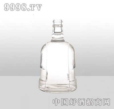 ZH-855߰ײƿ500ml-еװϢ