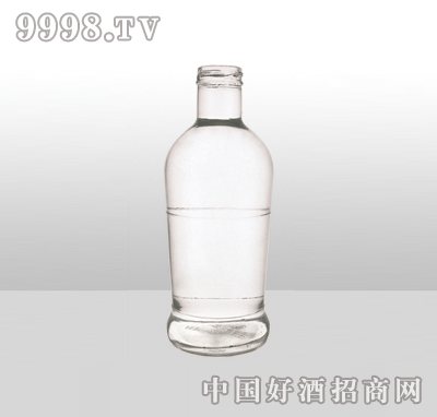 ZH-831߰ײƿ500ml-еװϢ