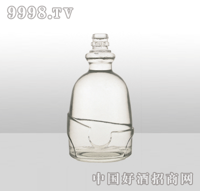 ZH-809߰ײƿ500ml-еװϢ