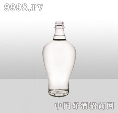 ZH-779߰ײƿ500ml-еװϢ