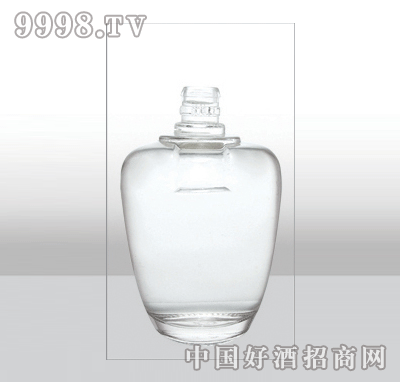 ZH-516߰ײƿ500ml-еװϢ