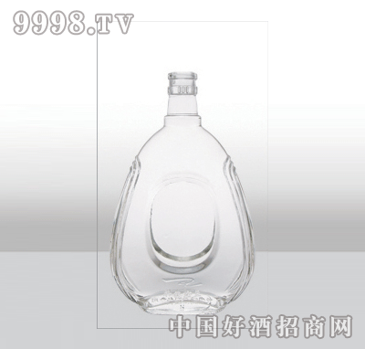 ZH-507߰ײƿ500ml-еװϢ