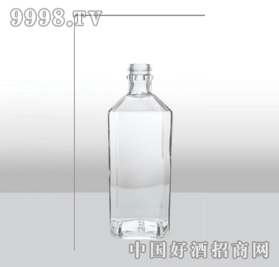 ZH-491-1߰ײƿ250ml-еװϢ