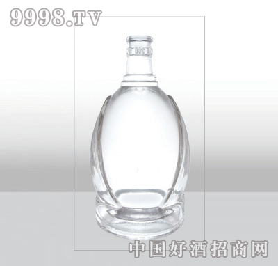 ZH-488߰ײƿ500ml-еװϢ