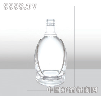 ZH-488-1߰ײƿ480ml-еװϢ