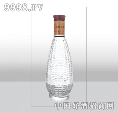 ZH-461-1߰ײƿ500ml-еװϢ