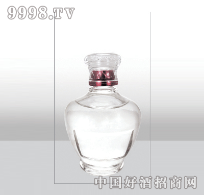 ZH-437߰ײƿ250ml-еװϢ