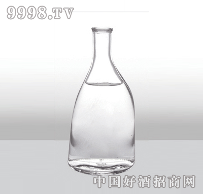 ZH-376߰ײƿ500ml-еװϢ