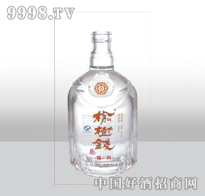 ZH-374߰ײƿ500ml-еװϢ