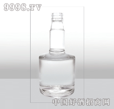 ZH-369߰ײƿ500ml-еװϢ