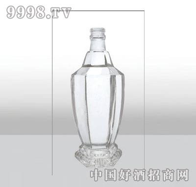 ZH-346߰ײƿ500ml-еװϢ