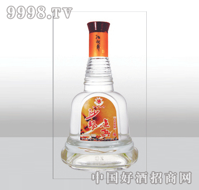 ZH-340߰ײƿ500ml-еװϢ