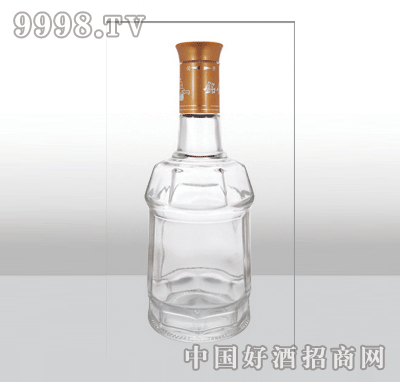 ZH-336߰ײƿ500ml-еװϢ