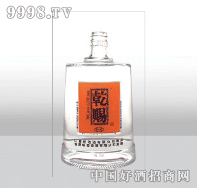 ZH-333߰ײƿ500ml-еװϢ