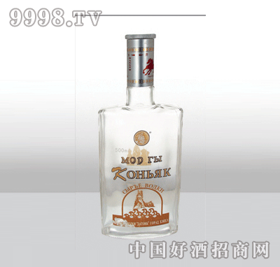 ZH-315߰ײƿ500ml-еװϢ