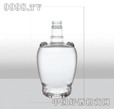 ZH-309߰ײƿ480ml-еװϢ