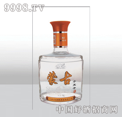 ZH-304߰ײƿ500ml-еװϢ