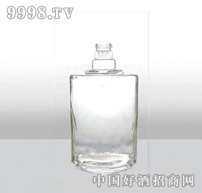 ZH-297߰ײƿ500ml-еװϢ