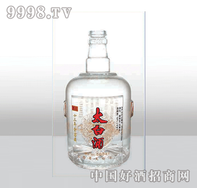 ZH-260߰ײƿ500ml-еװϢ