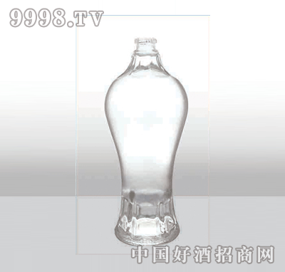 ZH-255߰ײƿ500ml-еװϢ