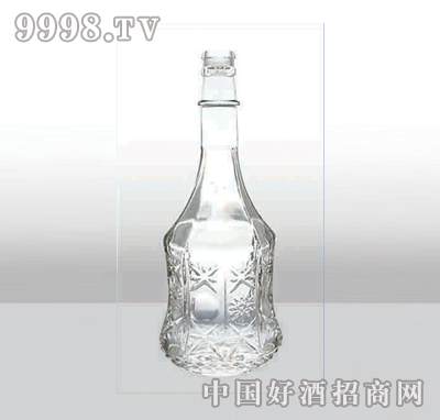 ZH-223߰ײƿ500ml-еװϢ